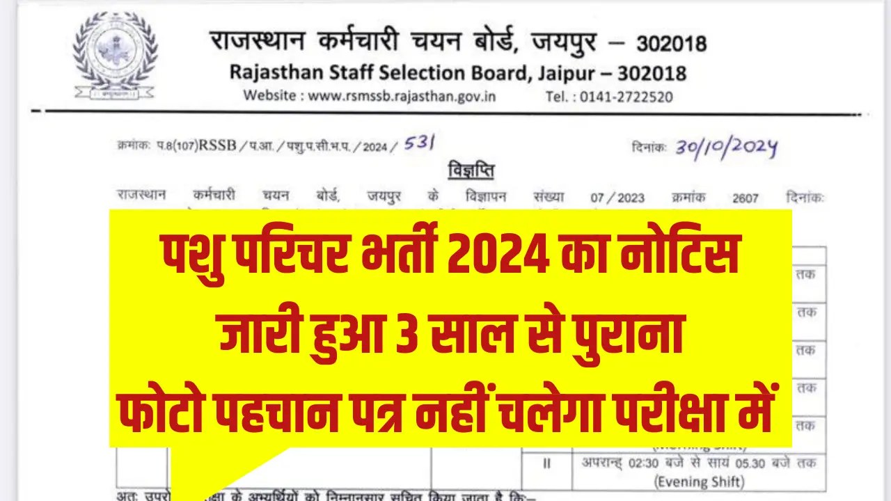 RSMSSB Notice 2024